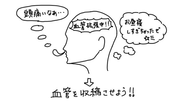 お昼寝しすぎて頭が痛くなったときは血管が広がるのを防ごう 田崎史乃